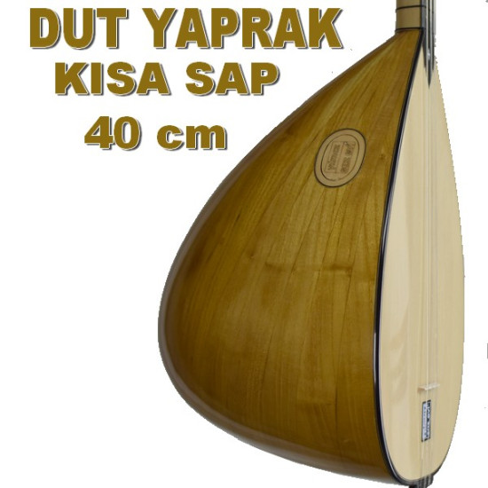 DUT YAPRAK BAĞLAMA KISA SAP 40 cm ( köprü sistemli)